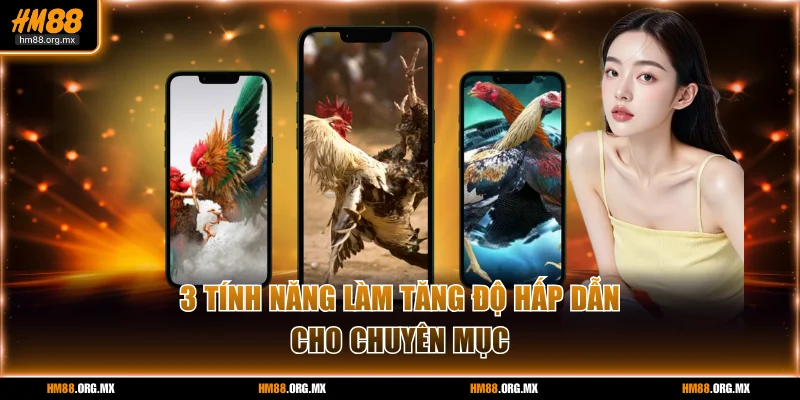 3 tính năng làm tăng độ hấp dẫn cho chuyên mục