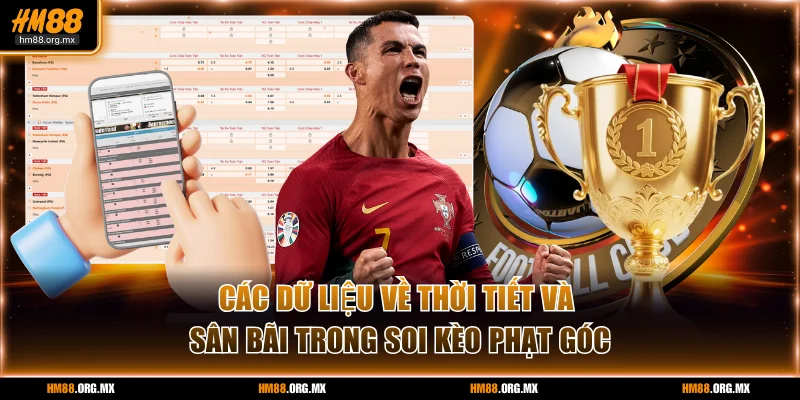 Các dữ liệu về thời tiết và sân bãi trong soi kèo phạt góc