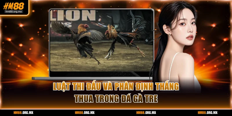 Luật thi đấu và phân định thắng thua trong đá gà tre