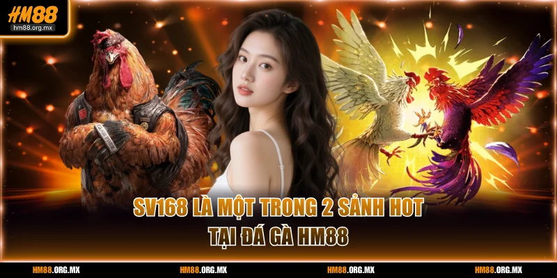 SV168 là một trong 2 sảnh hot tại đá gà HM88