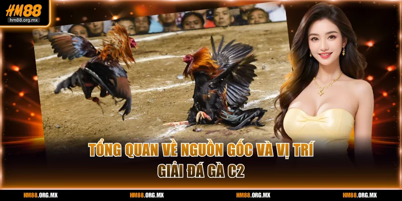 Tổng quan về nguồn gốc và vị trí giải đá gà C2